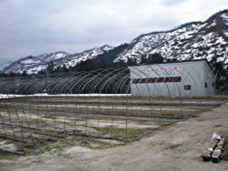 育苗ハウス立て