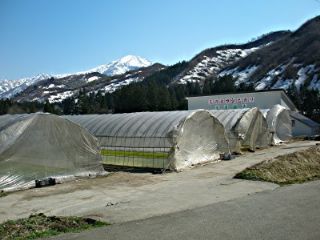 育苗ハウス立て 完成