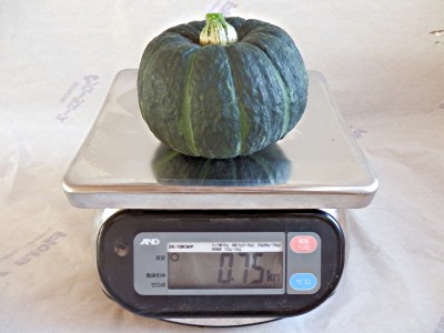 坊ちゃんかぼちゃ重さ750g