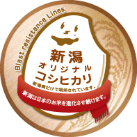 新潟オリジナル　コシヒカリBL　ロゴマーク