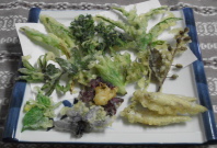 山菜天ぷら